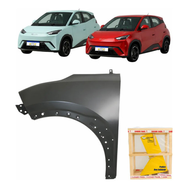 Paralama Byd Dolphin Mini 2024 2025 2026 Esquerdo