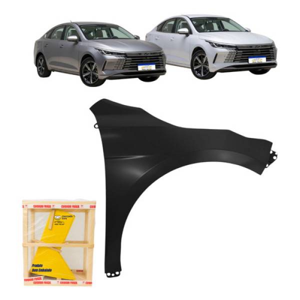 Paralama Byd King 2024 2025 2026 Direito