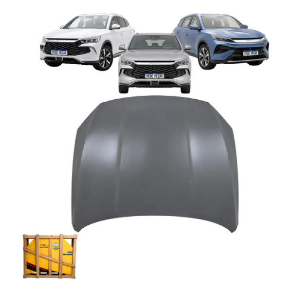 Capu Byd Song Pro 2024 2025 2026 2027