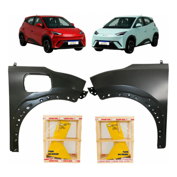 Paralama Byd Dolphin Mini 2024 2025 2026 Par
