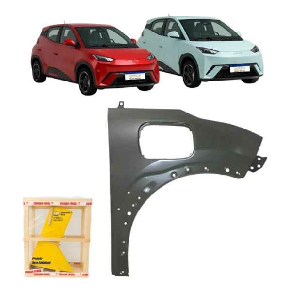 Paralama Byd Dolphin Mini 2024 2025 2026 Direito