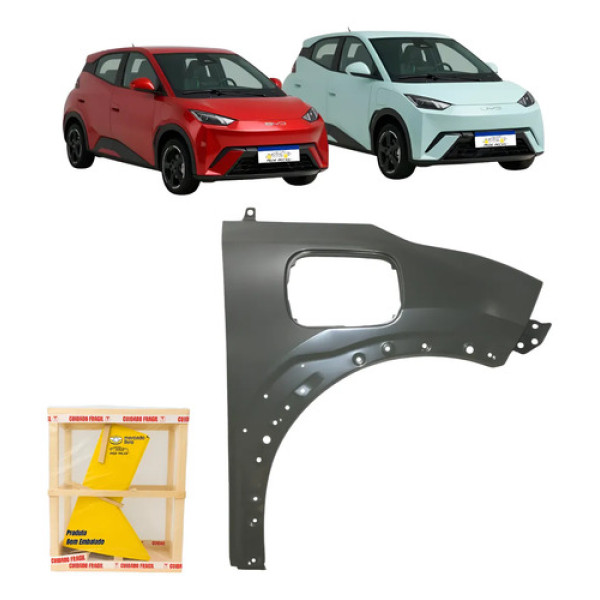 Paralama Byd Dolphin Mini 2024 2025 2026 Novo Direito