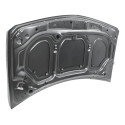 Capu Renault Megane Expression 2006 A 2011 Gasolina Novo