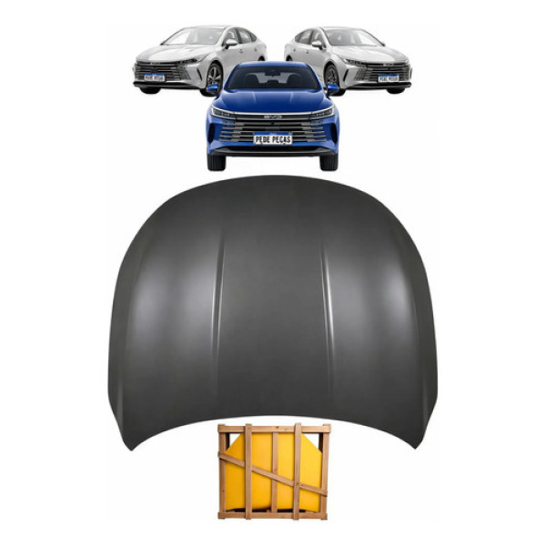 Capo Byd King 2024 2025 2026 2027 Gl Gs Novo