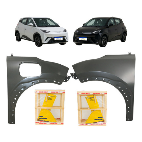 Par Paralama Byd Dolphin Mini 2024 2025 2026