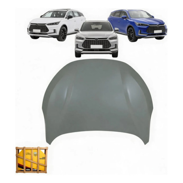 Capô Byd Tan 2022 2023 2024