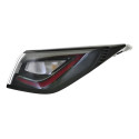 Lanterna Sinaleira Byd Dolphin 2023 2024 2025 2026 L.d Direito/passageiro Bicolor