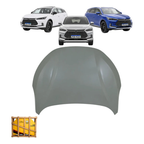 Capu Dianteiro Byd Tan 2022 2023 2024