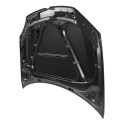 Capu Volkswagen Jetta 2006 2007 2008 2009 2010