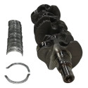 Virabrequim Expert Jumpy Scudo 2022 2025 1.5 Diesel