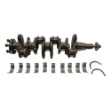 Virabrequim Jumpy Expert Scudo 1.5 Diesel Original Stander