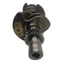 Virabrequim Tiggo 5x 7 2019 2020 2021 2023 1.5 Turbo