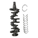 Virabrequim Expert Jumpy Scudo 2022 2025 1.5 Diesel