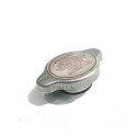 Tampa Do Radiador Kia Grand Carnival 2008 Sku 48533