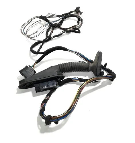 Chicote Da Porta Traseira Direita - Bmw 320 2012