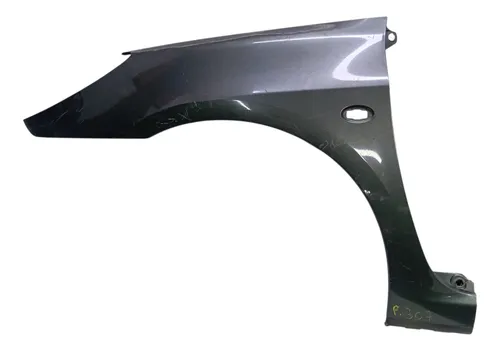 Paralama Esquerdo Peugeot 307 2006 2007 A 2012