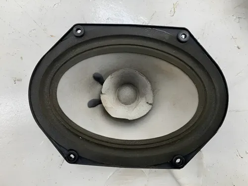 Auto Falante Porta Dianteira Direita Ford Focus 2004 Preto