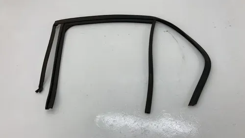 Borracha Porta Traseira Esquerda Bmw 118i 2016