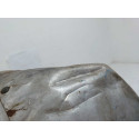  Defletor Catalizador Vw Fox City 1.0 2009