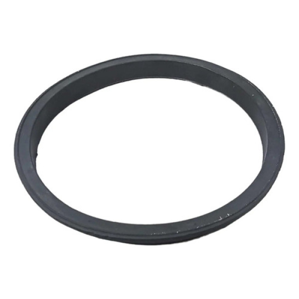 Anel Vedação Guarnição Bomba Ducato Boxer Jumper Cx239