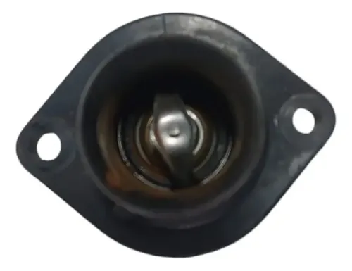 Válvula Termostática Peugeot 307 C4 2.0 2008 A 2013