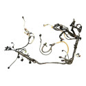 Chicote Injecao Motor Omega 3.6 V6 Fittipaldi 2011 Original