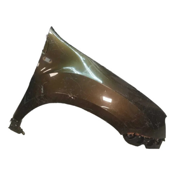 Paralama Dianteiro Direito Duster 11/15 (detalhe)