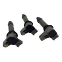 Kit Bobina De Ignicao Omega 3.6 V6 Fittipaldi 2009 2010 2011