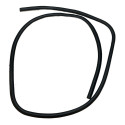 Borracha Porta Traseira Esquerda Cobalt 2012 2015 (usado) 