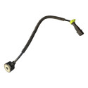 Sensor Detonação Fiat/jeep 1.8 E-torq 55223460