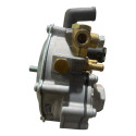 Redutor De Pressão Gnv 3ª Geração Rodima Rm03r-09895  Prata