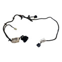Chicote Porta Traseira Direita Fiat Argo Hgt 2018 520697500