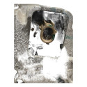 Alternador Honda City 2015/2021 A5tj0391zt