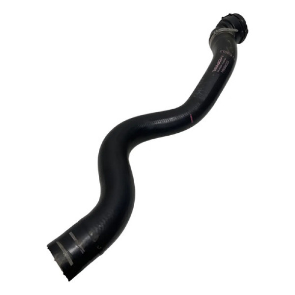 Mangueira Superior Radiador Jeep Renegade 2020 52088984