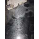 Spoiler Traseiro Peugeot 2008 2015/2017 Original 21481 Cinza