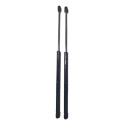 Par Amortecedor Tampa Traseira Gm Corsa Wind Original