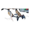 Chicote Caixa Fusível Painel Delphi Gm Celta 1.0 Vhc 4p 2004