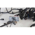 Chicote Motor Gm Cruze 1.4 Turbo 2019 Detalhe