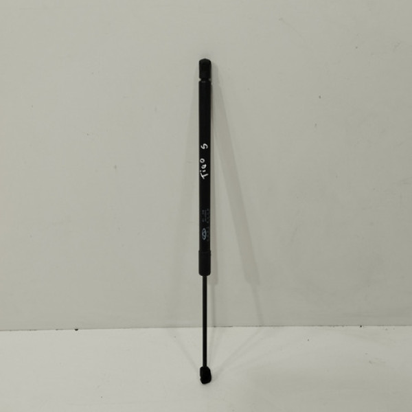 Amortecedor Tampa Traseira Chery Tiggo 5x 2019 2020 E16