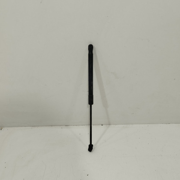 Amortecedor Capo Bmw X6 2006 07 08 09 2010  E225