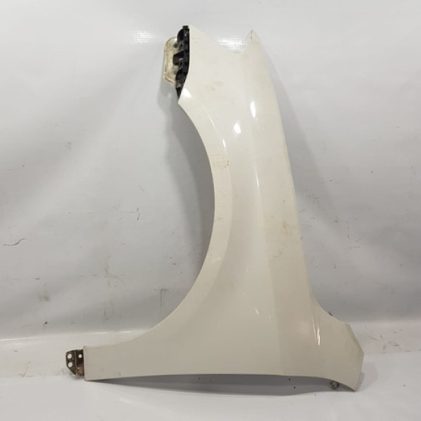 Paralama Lado Esquerdo Volkswagen Passat 2013 2013  Ef154