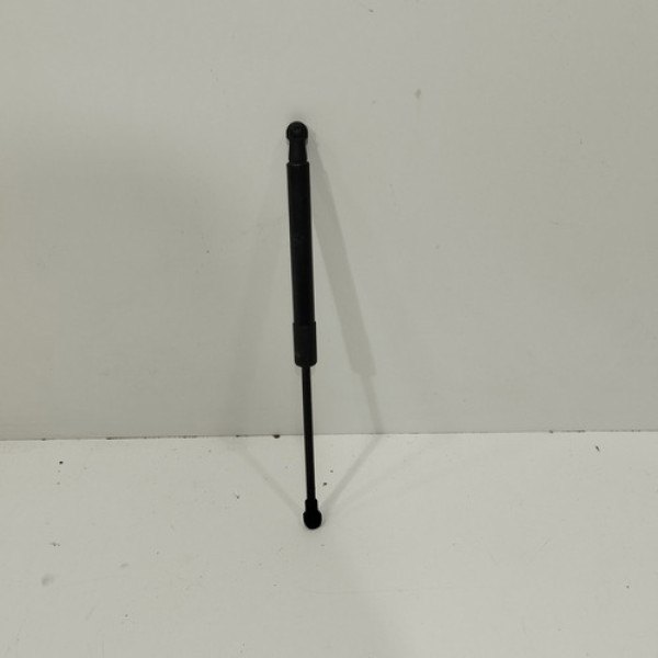 Amortecedor Capo Bmw X1 X6 2011 12 13 14 15 2016 E218