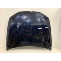 Capo Bmw Serie 5 530i 540i 550i G30 2018 2019 2020 Original