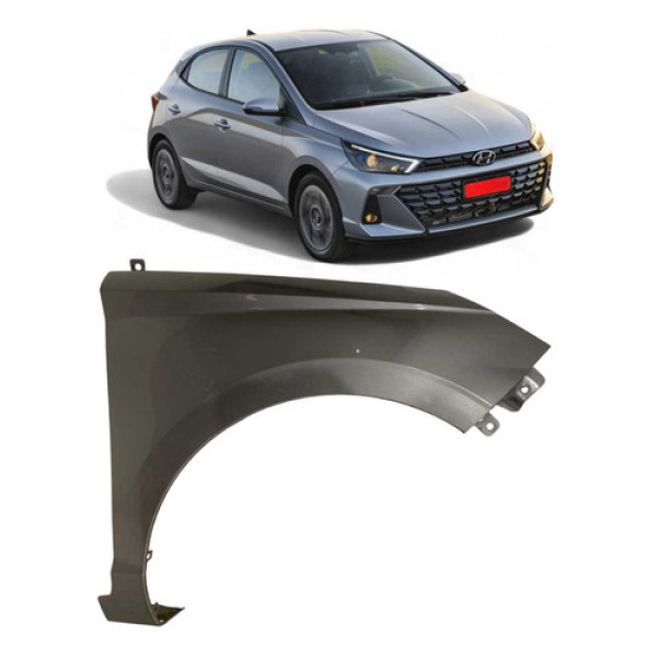 Paralama Hyundai Hb20 Direito 2023 2024 2025 Usado Original