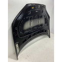 Capo Byd Seal 2023 2024 2025 Original