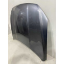 Capo Byd Song Pro 2024 2025 Original