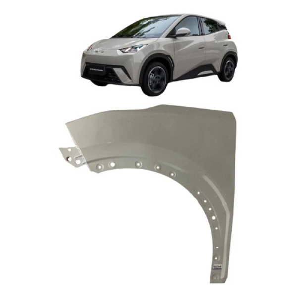 Paralama Esquerdo Byd Dolphin Mini 2023 A 2025