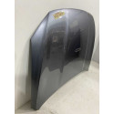 Capo Byd Song Pro 2024 2025 Original