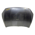 Capo Byd Song Pro 2024 2025 Original