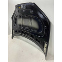 Capo Byd Seal 2023 2024 2025 Original